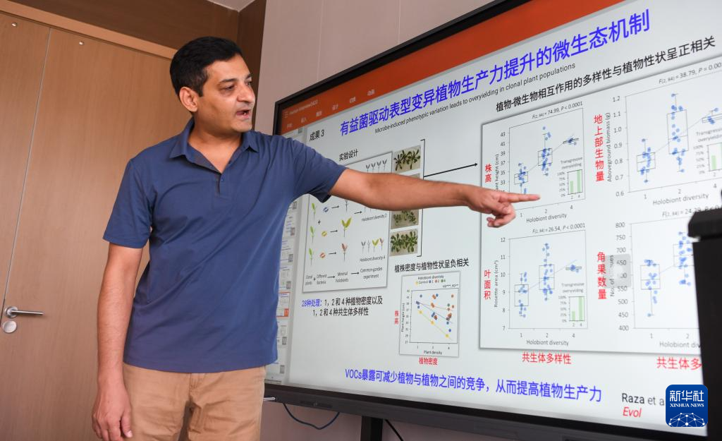 巴基斯坦专家瓦西姆·拉扎：我在海南研究香蕉“抗病密码”