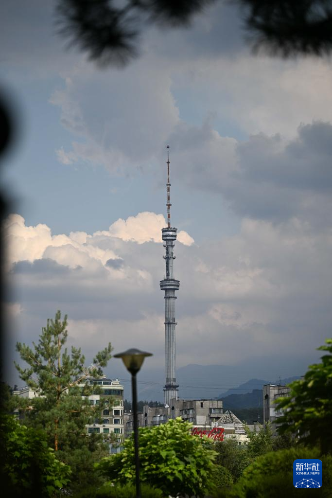 哈萨克斯坦：阿拉木图夏日
