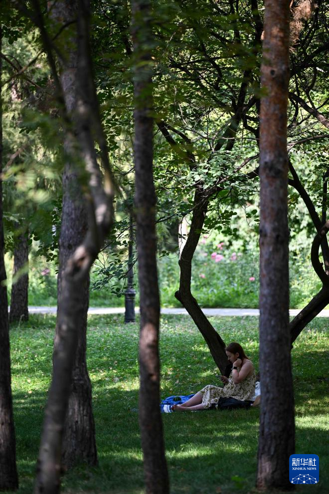 哈萨克斯坦：阿拉木图夏日