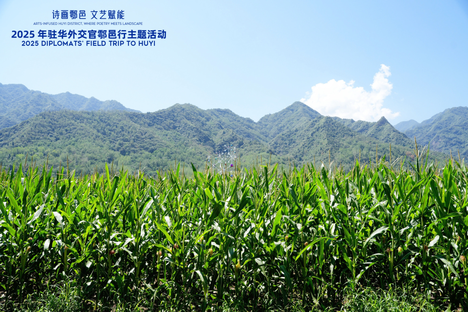艺术住进鄠邑乡野 驻华外交官读懂乡村振兴中国故事
