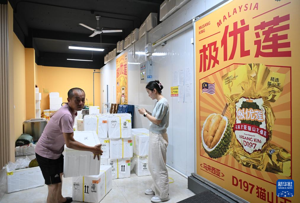 镜头连中外丨从马来西亚到中国：榴莲36小时“抢鲜”送