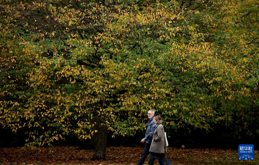 英伦秋日