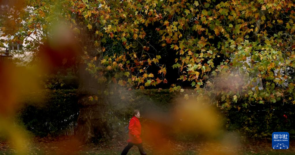 英伦秋日