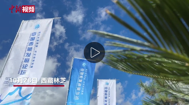 外籍嘉宾点赞西藏林芝生态 期待更深入了解多元西藏