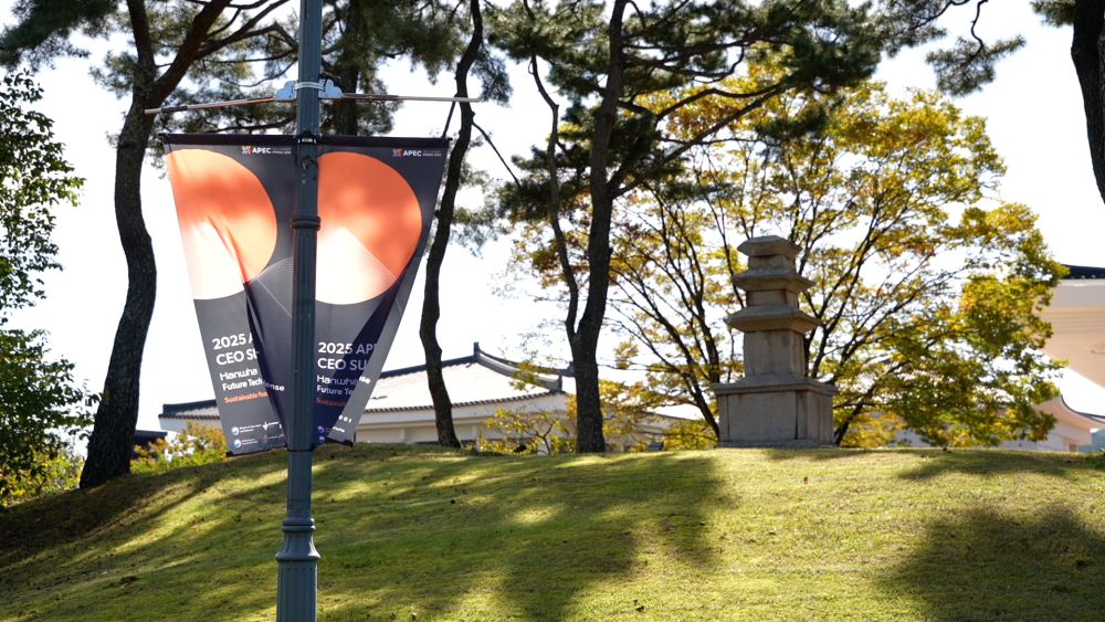 记者观察|在APEC会议举办地触摸亚太合作发展新脉动 记者观察|在APEC会议举办地触摸亚太合作发展新脉动