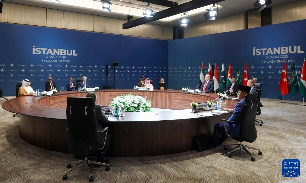 土耳其、沙特等七国外长一致同意维护加沙停火协议