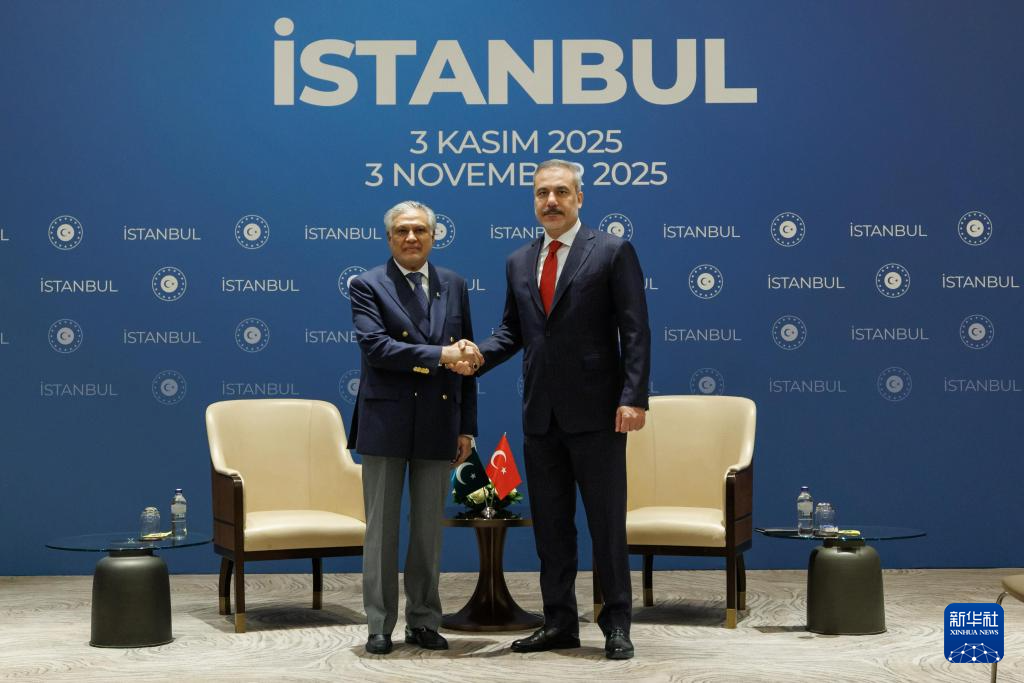 土耳其、沙特等七国外长一致同意维护加沙停火协议