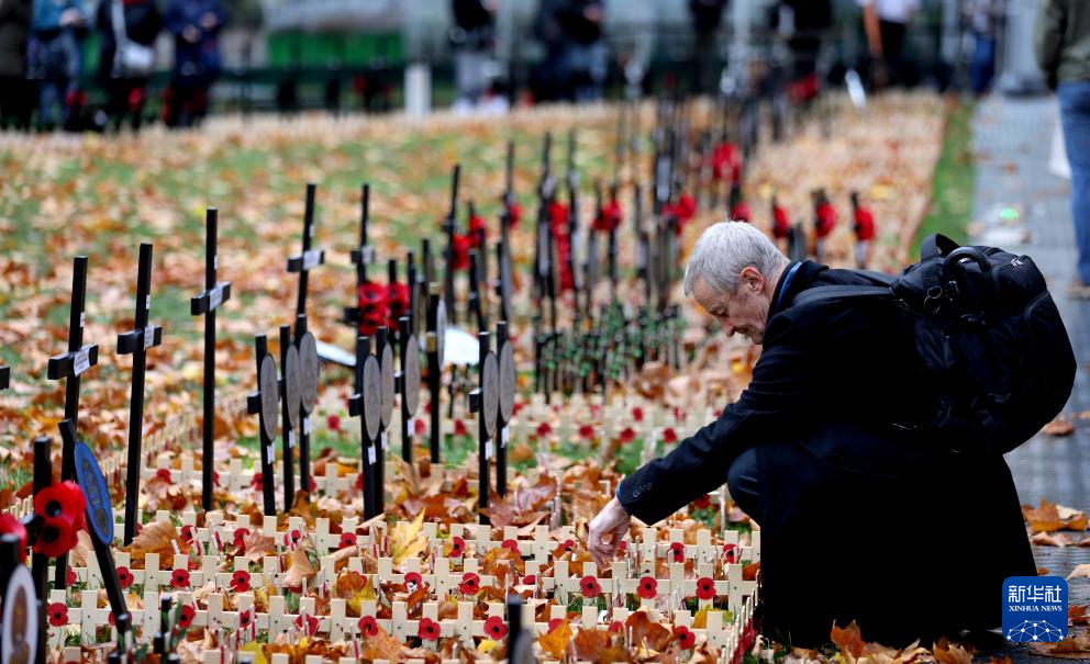 英国：纪念停战