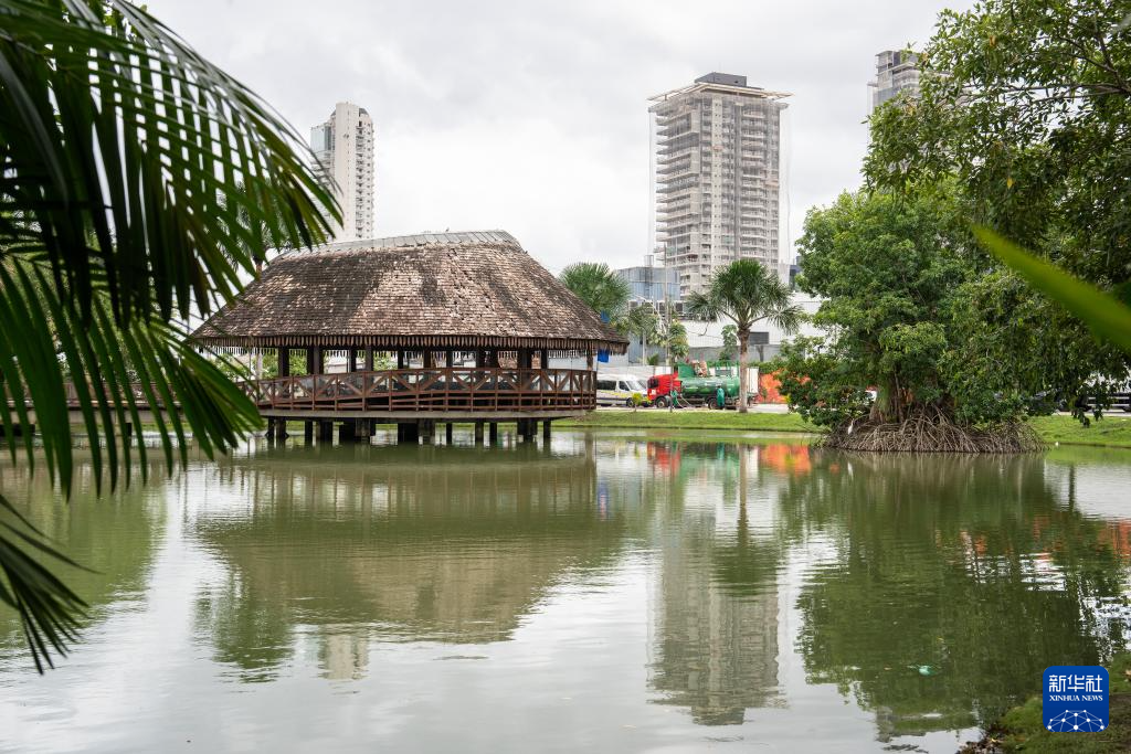巴西贝伦：“亚马孙之门”的生态魅力