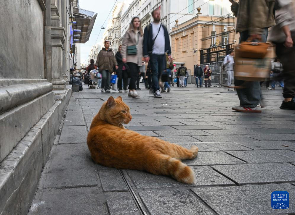 繁华的伊斯坦布尔独立大街