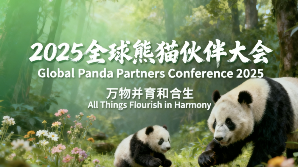 2025全球熊猫伙伴大会｜万物并育和合生
