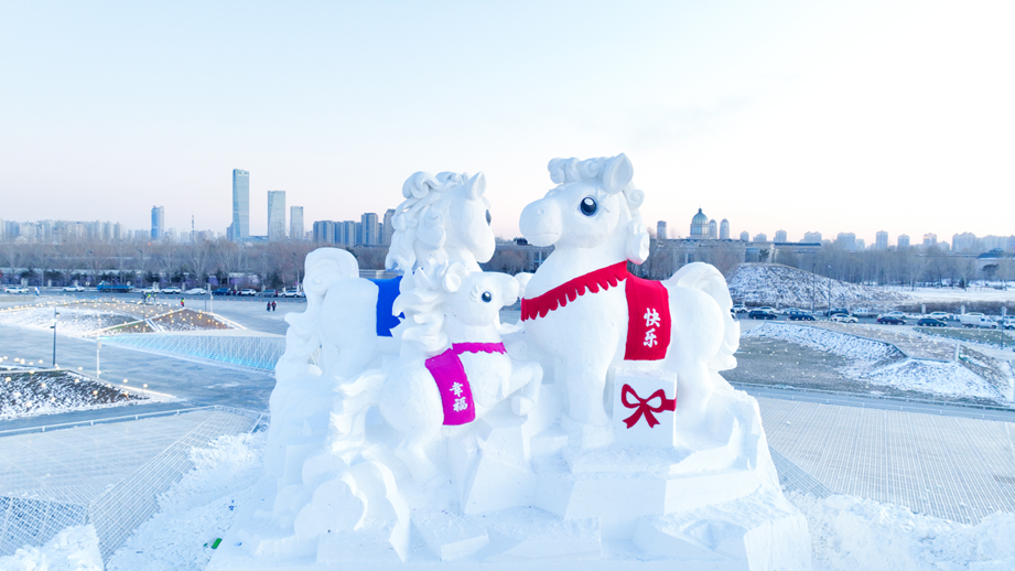 【中国那些事儿】外媒观察:南北冰雪“各美其美” 看中国冰雪市场热浪滚滚新图景