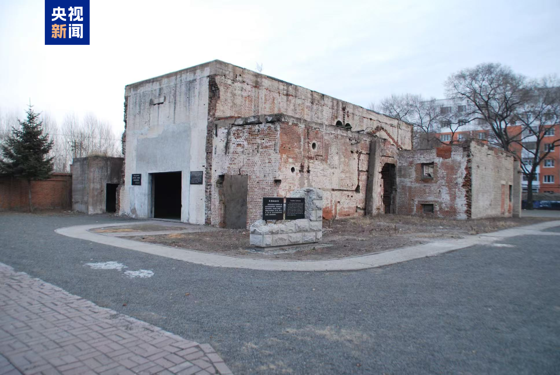 “光着身子,零下25摄氏度……” 731部队原成员亲述冻伤实验细节