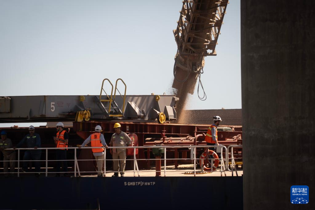 阿根廷首次向中国出口小麦