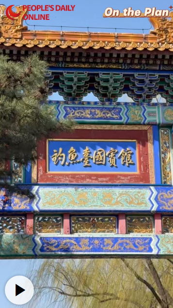 外企高管眼中的中国“十五五”发展新蓝图