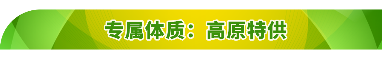 开“新”世界杯丨上车,看球去!“中国造”实力圈粉