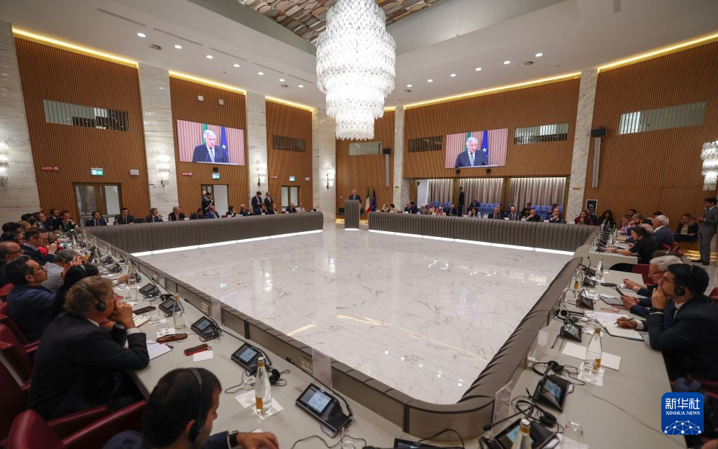 意大利和沙特重申支持落实“两国方案”