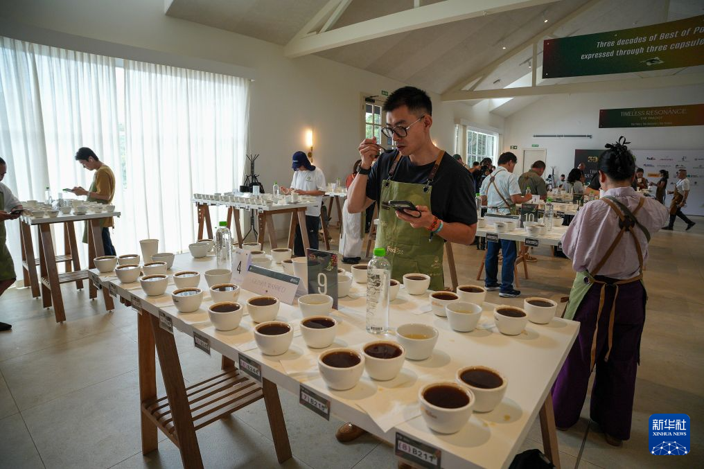 共话中国经济新机遇丨通讯:一杯巴拿马瑰夏见证中巴咖啡合作新图景