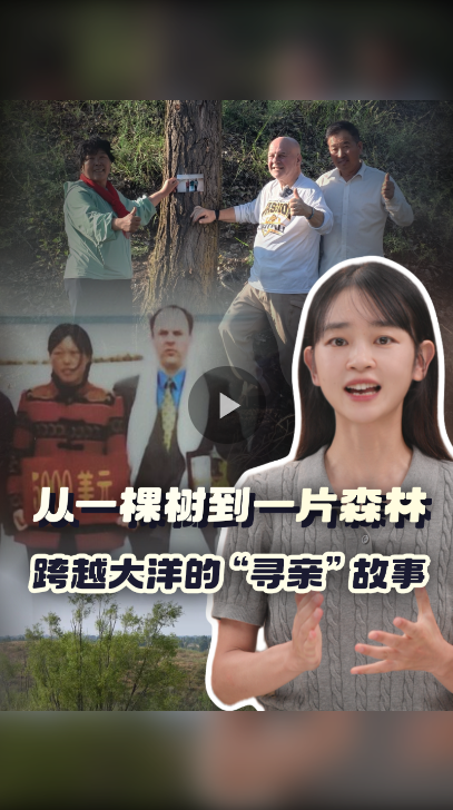 从一棵树到一片森林 跨越大洋的“寻亲”故事