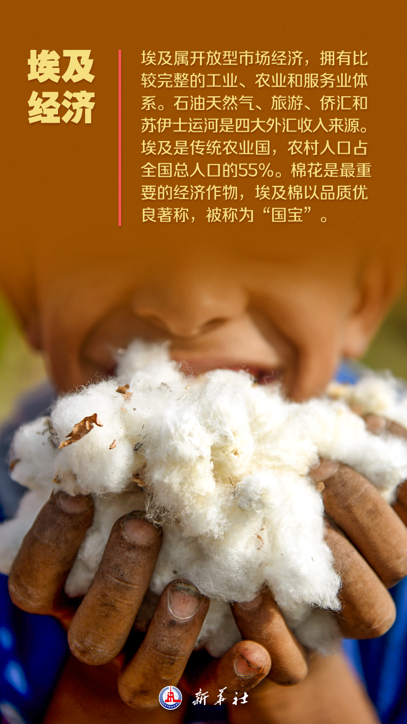 海报 | 这,就是埃及