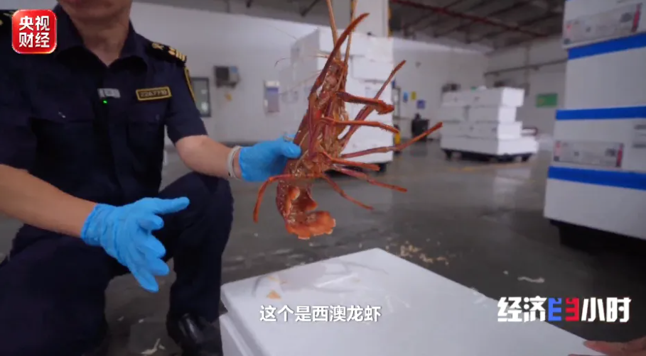 “中国购物车”越装越大!万亿级扫货清单惠及全球