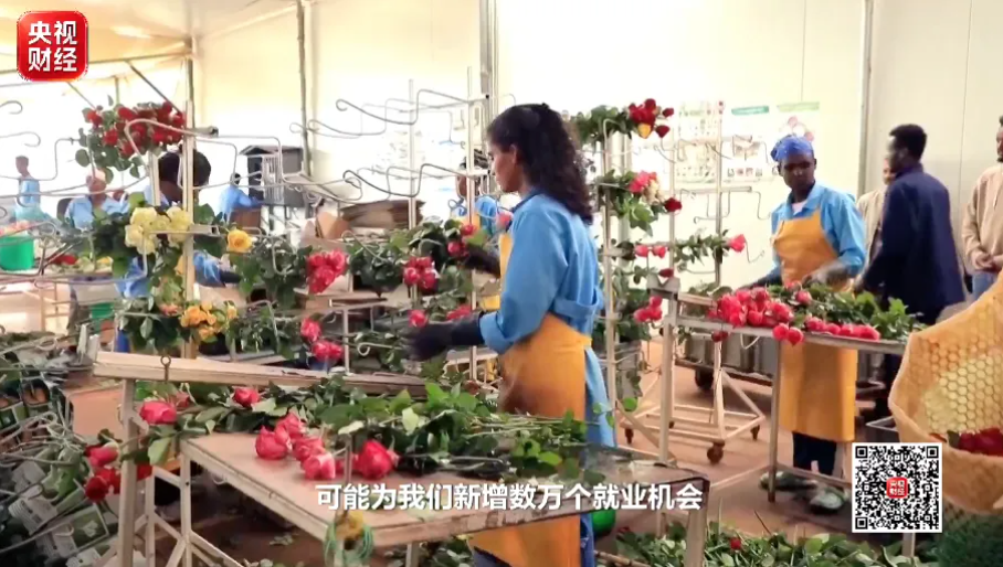 “中国购物车”越装越大!万亿级扫货清单惠及全球