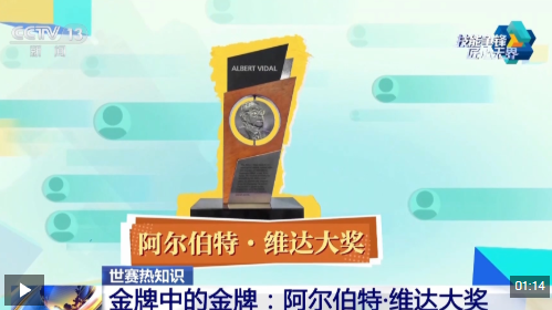 视频丨世界技能大赛今晚闭幕 “金牌中的金牌”得主将揭晓