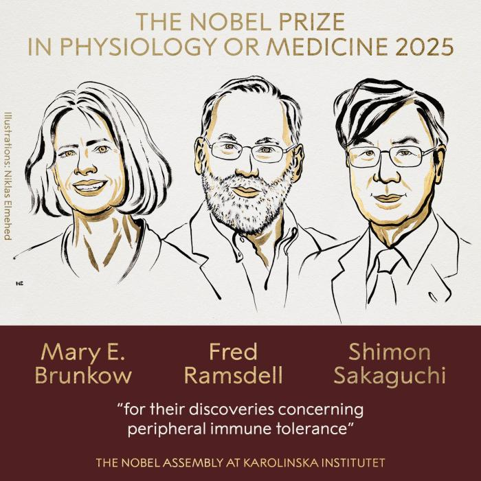 2026年诺贝尔生理学或医学奖揭晓 这三位科学家获奖