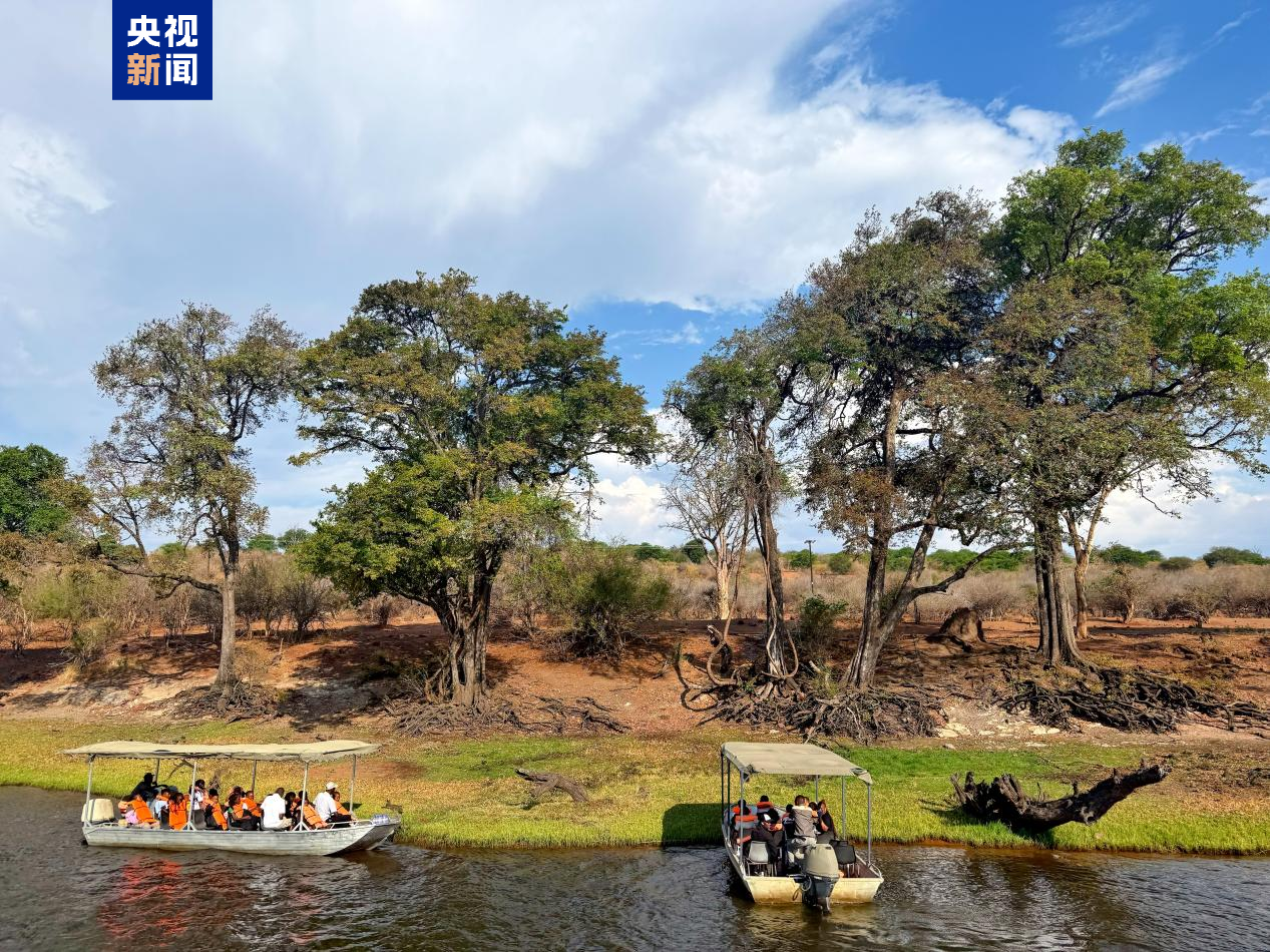 记者Vlog丨从自然奇观到文化交流 中国和博茨瓦纳的故事正在继续