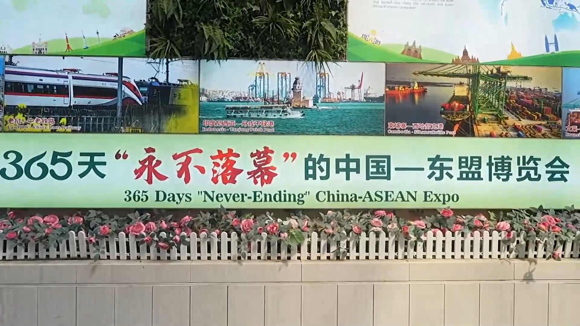 活力中国调研行|在南宁,打造“永不落幕”的东博会
