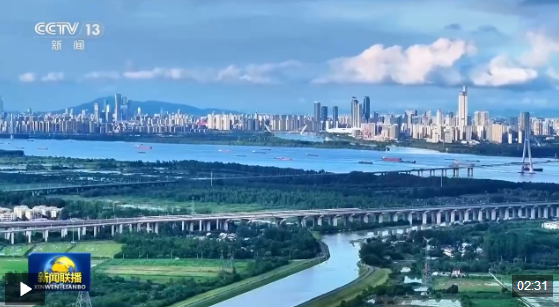 视频丨推进全面从严治党为中国发展提供保障——国际人士高度关注中国共产党二十届五中全会