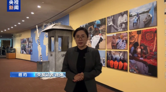 视频丨回应时代对“共同安全”呼唤 中国正用行动兑现理念 视频丨回应时代对“共同安全”呼唤 中国正用行动兑现理念